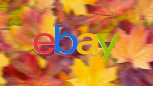 coupon ebay novembre 2021 offerte sconti codice smartphone elettronica